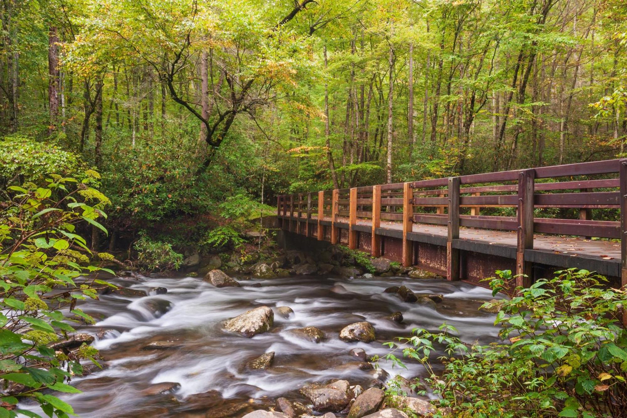 Apple Valley Hideaway, 1089 Of Free Attraction Tickets For Each Paid Day, Dollywood And More! ピジョンフォージ エクステリア 写真