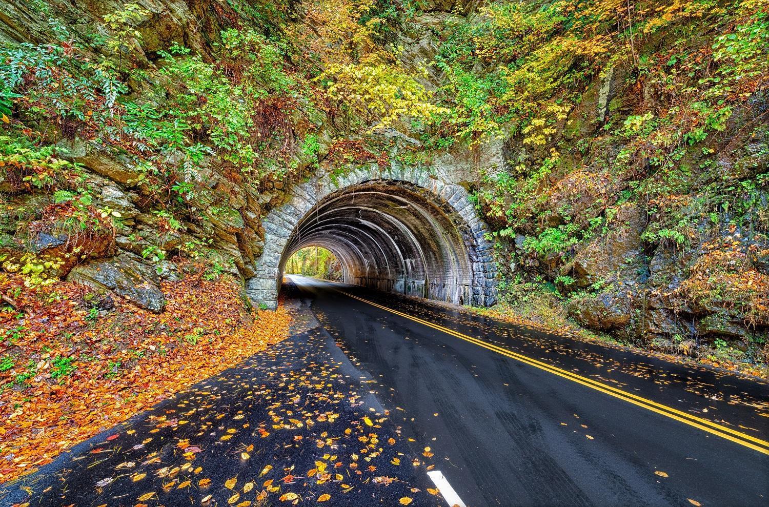 Apple Valley Hideaway, 1089 Of Free Attraction Tickets For Each Paid Day, Dollywood And More! ピジョンフォージ エクステリア 写真
