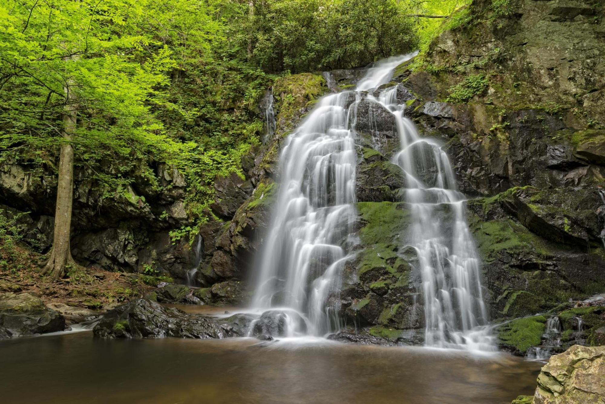Apple Valley Hideaway, 1089 Of Free Attraction Tickets For Each Paid Day, Dollywood And More! ピジョンフォージ エクステリア 写真