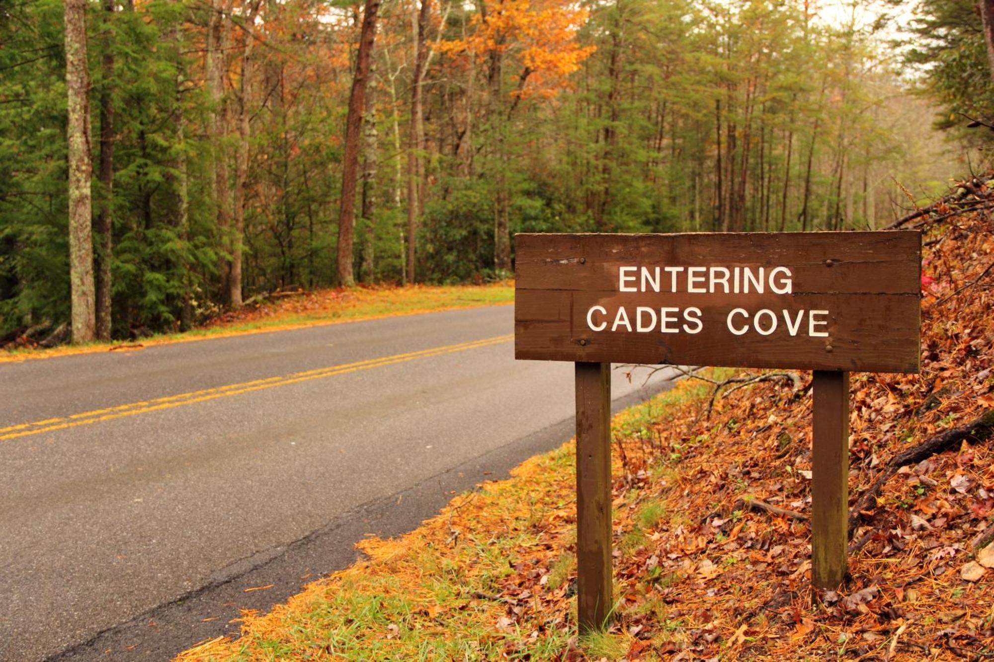 Apple Valley Hideaway, 1089 Of Free Attraction Tickets For Each Paid Day, Dollywood And More! ピジョンフォージ エクステリア 写真